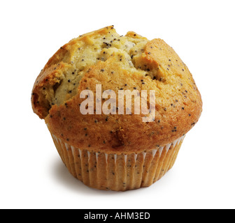 poppy seed muffin Stock Photo