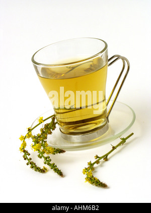 Healthy agrimonia cup of tea with agrimonia flowers. Isolated on white ...