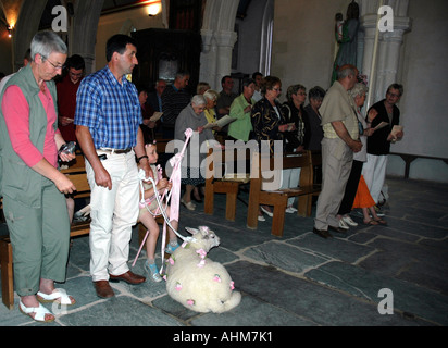 The little sheep behaves impeccably in church during the Holy Mass for the Pardon, religious festival, in a Breton village Stock Photo