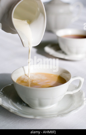 Pouring milk from porcelain milk jug into cup filled with tea Stock Photo