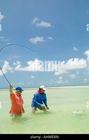 Florida Keys Fly fisherman and guide landing a Permit Fish while fly- fishing the flats of the Caribbean ocean Stock Photo
