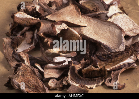 dried porcini mushrooms 02 Stock Photo