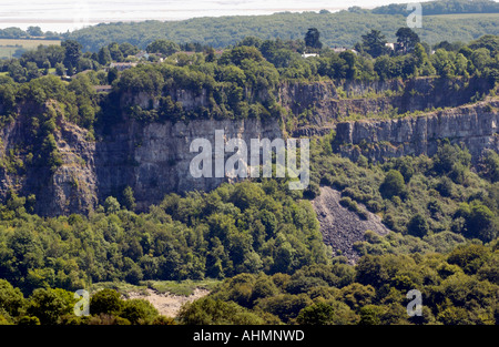 View over lower Wye Valley from Eagles Nest viewpoint at Wyndcliff near Chepstow Monmouthshire South East Wales UK Stock Photo