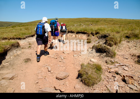 Guided walking group on eroded trail Fan Lila in the Brecon Beacons National Park Powys South Wales UK Stock Photo