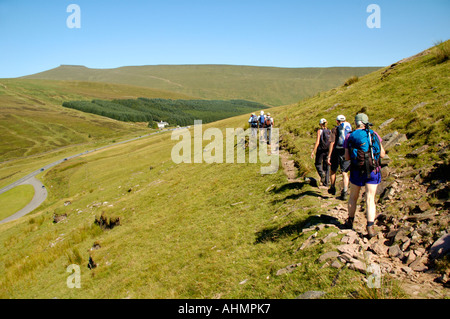 Guided walking group on hillside track heading toward Storey Arms in the Brecon Beacons National Park Powys South Wales UK Stock Photo