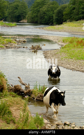 Afon Tywi, Carmarthenshire, Gb, United Kingdom, Wales, N 51 45' 14'', S 