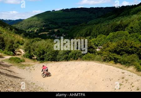 Rider on Y Mynydd Mojo Down Hill Track at Cwmcarn Forest Drive Caerphilly South Wales UK GB EU Stock Photo