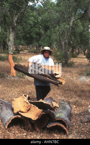 Cork harvest Alentejo Portugal Stock Photo