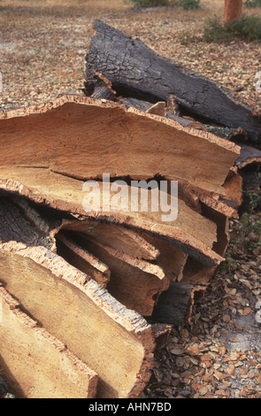 Cork harvest Alentejo Portugal Stock Photo