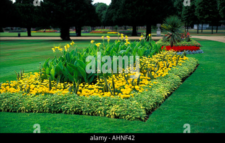 Flower bed with marigold calendula tagetes Stock Photo