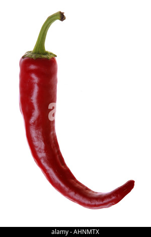 Spice of red pepper isolated on white background Stock Photo - Alamy