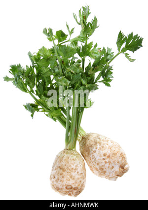 Celery with root isolated on white background Stock Photo