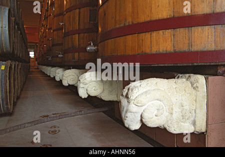 Oak barrels and big foudre fermentation vats in the winery, the plinth decorated with the winery symbol the boar, Chateau Puech-Haut, Saint-Drezery, Coteaux du Languedoc, Languedoc-Roussillon, France Stock Photo