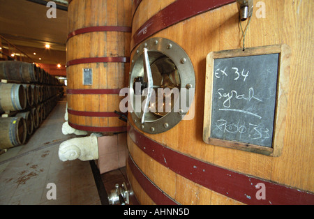 Oak barrels and big foudre fermentation vats in the winery, the plinth decorated with the winery symbol the boar, chalkboard sign indicating that the vat contains Syrah 2003, Chateau Puech-Haut, Saint-Drezery, Coteaux du Languedoc, Languedoc-Roussillon, France Stock Photo