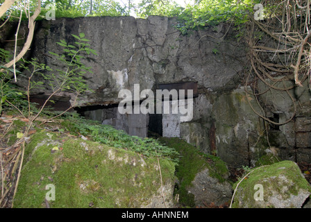 Siegfried Line World War Two era destroyed bunker, Germany Stock Photo