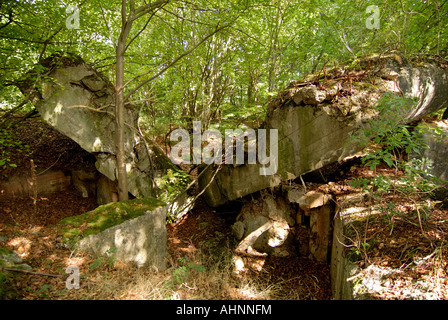 Siegfried Line World War Two era destroyed bunker, Germany Stock Photo