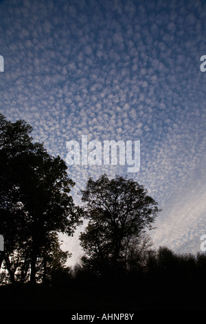 Altocumulus stratiformis cloud formation Stock Photo