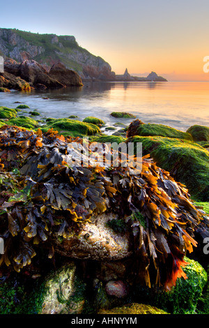 The rocky foreshore of Ansteys Cove near Torquay South Devon at sunrise with Long Quarry Point in the background Stock Photo