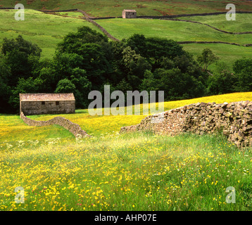 Stone Barns and Wild Flower Meadows, Near Thwaite, Swaledale, Yorkshire Dales National Park, Yorkshire, England, UK Stock Photo