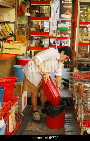Curated visual reference: Cleaning A Bird Cage Stock Photo Photo Inspiration