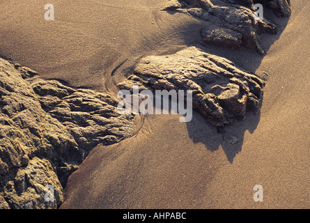 Beach landscape sand and rocks Stock Photo
