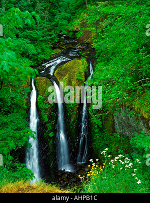 Triple Falls in spring with wildflowers Columbia River Gorge National Scenic Area Oregon Stock Photo
