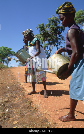 Women watering the verges of a newly built road  prior to planting to stabilize it. Mozambique Stock Photo