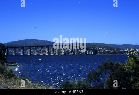 Gulls flying over River Derwent by Tasman Bridge, Hobart, Tasmania, Australia Stock Photo