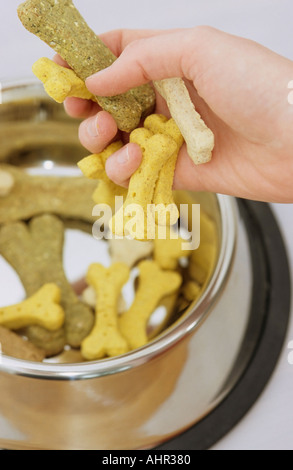 Hand holding dog biscuits Stock Photo