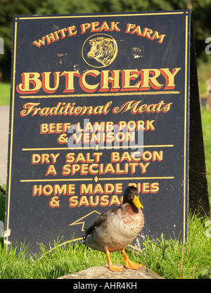 A duck standing in front of a sign advertising a butchery, Tissington Village Derbyshire UK Stock Photo