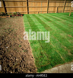 Garden with a wooden fence Stock Photo