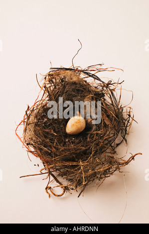 Hummingbird egg in nest Stock Photo