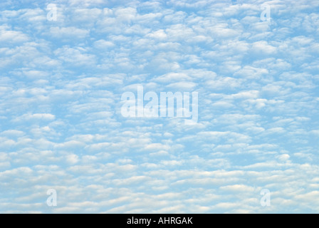 Sky Filled with Cirrocumulus Clouds aka Mackeral Sky Stock Photo