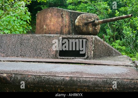US Amphibious Landing Tank Relic Peleliu Republic of Palau Stock Photo
