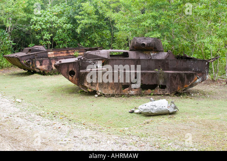 US Amphibious Landing Tank and Airplane Relic Peleliu Republic of Palau Stock Photo