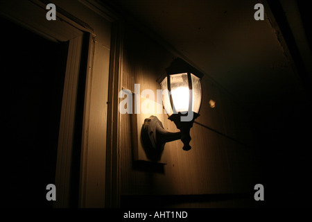 Night photo moth flying at porch light. Stock Photo