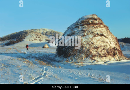 Snow covered haystacks at sunset Altai Russia Stock Photo