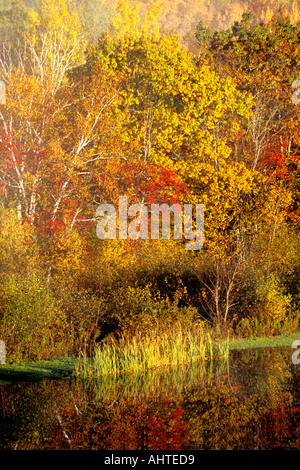 Fall Colors in New Brunswick 6 Stock Photo