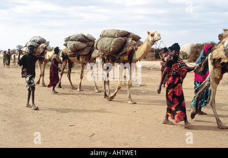 Somali camel train coming from over the border into Eastern Ethiopia. Stock Photo