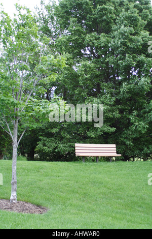 Bench in the park Stock Photo