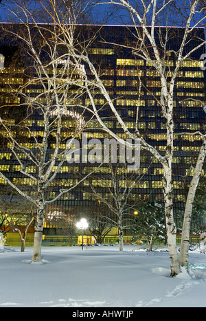 VIEW OF THE THRIVENT FINANCIAL BUILDING THROUGH BIRCH TREES.  MINNEAPOLIS, MINNESOTA, U.S.A.  WINTER EVENING. Stock Photo