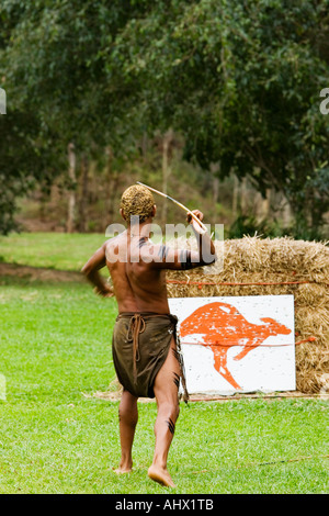 Image shows the backside view of an Aboriginal man throwing a spear at a kangaroo target Stock Photo