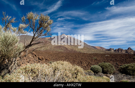 Parc Nacional del Teide Tenerife Canary Islands Spain Stock Photo