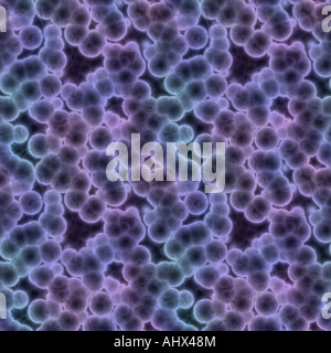 a large rendered image of bacteria or cells under a microscope Stock Photo
