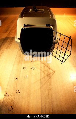 Trail of cat paw prints leading from an empty cat box with an open front door Stock Photo