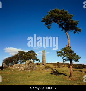 Chimney and trees at Powder Mills, Dartmoor, UK Stock Photo