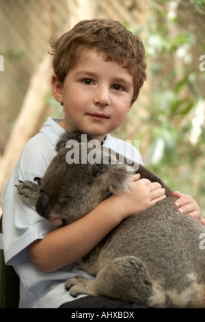 Young boy child holding a Koala bear in Lone Pine Koala Sanctuary wildlife reserve zoo Brisbane Queensland QLD Australia NAOH Stock Photo