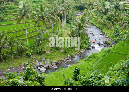 Rafting Ayung River Gorge Rice Terraces Ubud Bali Indonesia Stock Photo