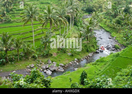 Rafting Ayung River Gorge Rice Terraces Ubud Bali Indonesia Stock Photo