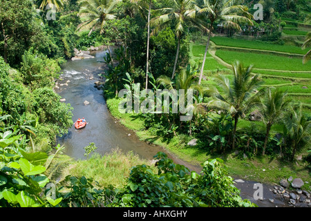 Rafting Ayung River Gorge Rice Terraces Ubud Bali Indonesia Stock Photo